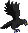 Corbeau.png