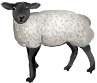 Mouton à tête noire.png