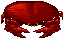 Crabe rouge.gif