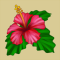 Fleur d'hibiscus.png