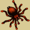 Mygale sauvage.png
