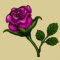 Rose rose.png