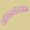 Saucisse crue.png