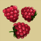 Framboises.png